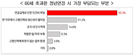 '고령자 고용정책에 대한 기업 인식조사' 설문 결과. <한국경영자총협회 제공>